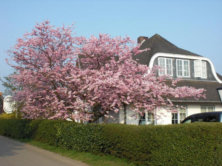 Hotel Ekke Nekkepenn Nebel Exterior foto